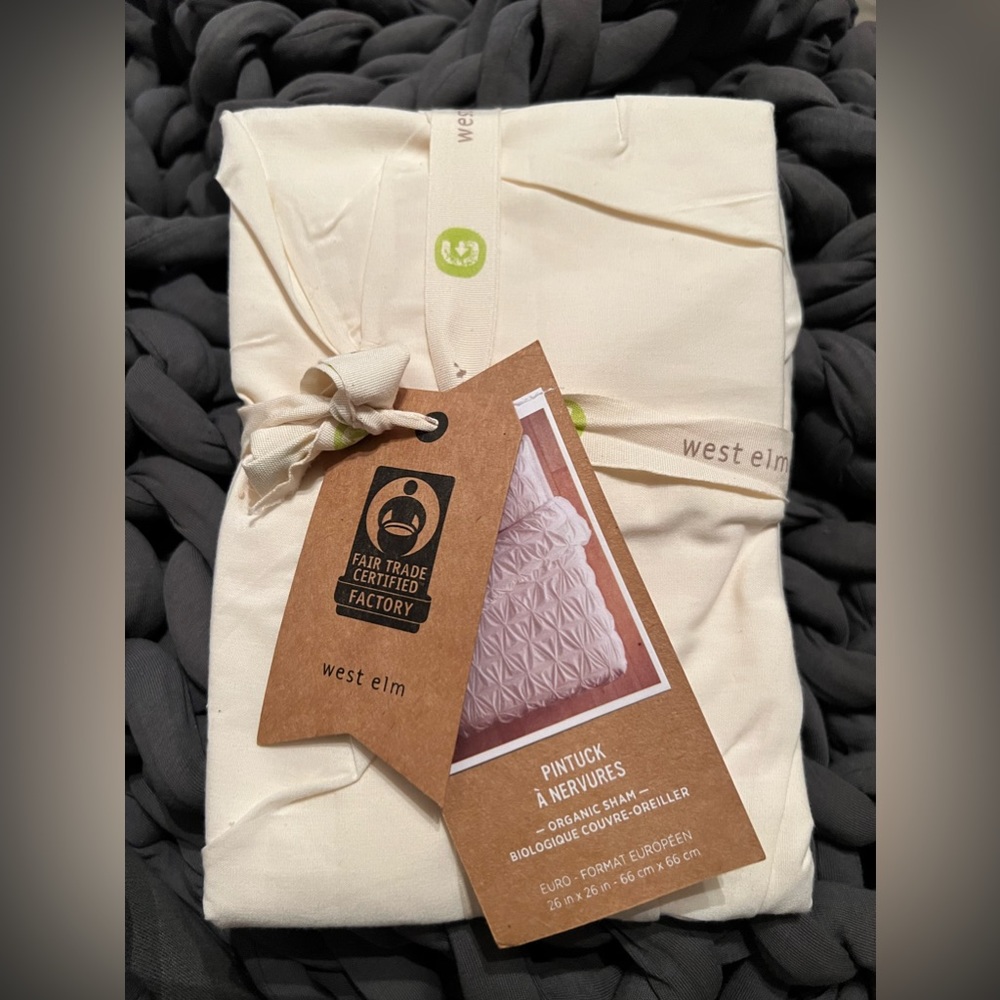West Elm Organic Pintuck Sham - Picture 1 of 4